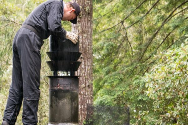 Professional Chimney Inspection