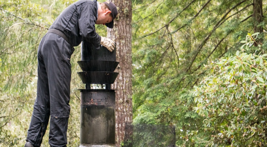 Professional Chimney Inspection